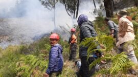 Upaya pemadaman dan monitoring karthula di Bukit Teletubies, kawasan wisata Taman Nasional Bromo Tengger Semeru, Jumat, 31/8/2023. (Dok. BPBD Kabupaten Probolinggo)  