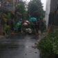 BPBD Kota Cimahi beserta warga memotong dan membersihkan pohon tumbang yang diakibatkan oleh peristiwa angin puting beliung. (Dok. BPBD Kota Cimahi)