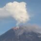 Gunung Semeru erupsi. (Dok. BNPB)