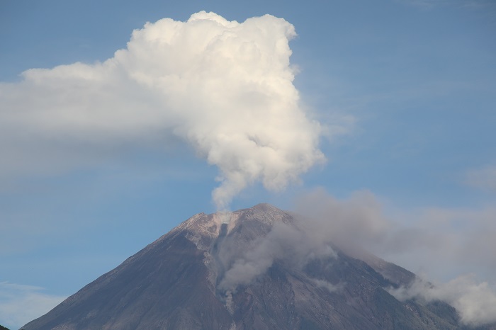 Gunung Semeru erupsi. (Dok. BNPB)
