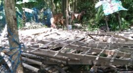 Kerusakan di Kab. Gresik akibat gempa pertama M6.0. (Dok. Isitmewa)