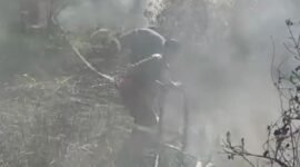 Kebakaran hutan dan lahan (karhutla) teridentifikasi di wilayah Kabupaten Karimun, Provinsi Kepuluaan Riau. (Dok. BPBD)