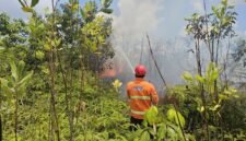 Tim gabungan melakukan penyemprotan air untuk memadamkan api di lokasi kebakaran lahan di Kabupaten Penajam Paser Utara, Provinsi Kalimantan Timur. (Dok. BPBD Kabupaten Penajam Paser Utara)