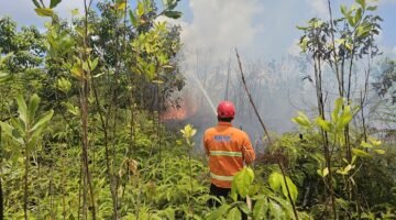 Tim gabungan melakukan penyemprotan air untuk memadamkan api di lokasi kebakaran lahan di Kabupaten Penajam Paser Utara, Provinsi Kalimantan Timur. (Dok. BPBD Kabupaten Penajam Paser Utara)